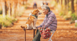 Fotke starice i njezinog psa prikazuju ljepote prijateljstva i prirode