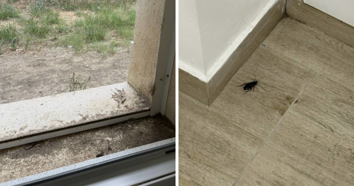 Našu čitateljicu šokirao smještaj u Splitu za vrijeme Ultre: "Žohari i plijesan"