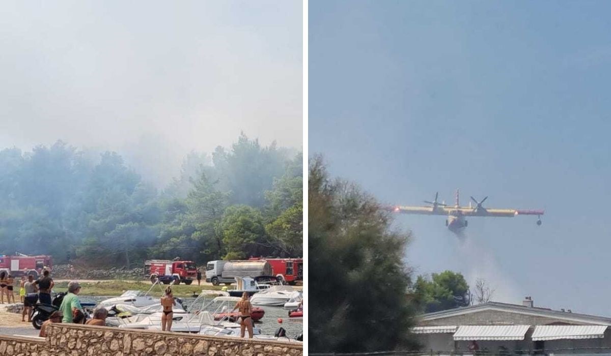 VIDEO Požar na Viru. Došao je blizu kuća, obranjene su