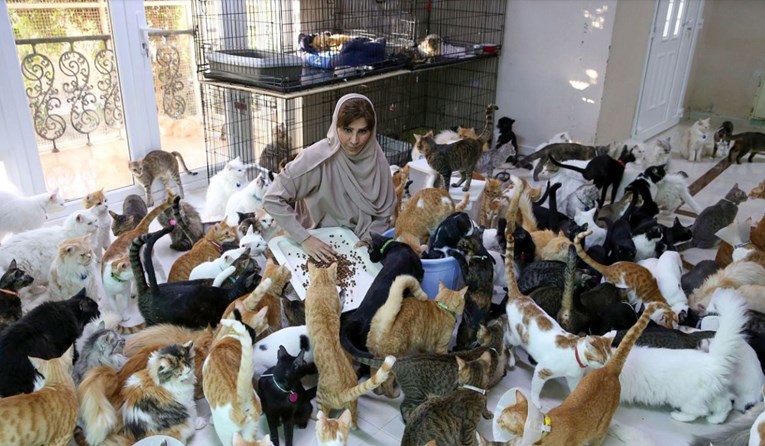 Žena dijeli dom s 480 mačaka i 12 pasa