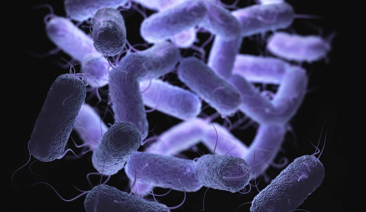 Iznenađujuće otkriće: Bakterije mogu pamtiti i prenositi sjećanja generacijama