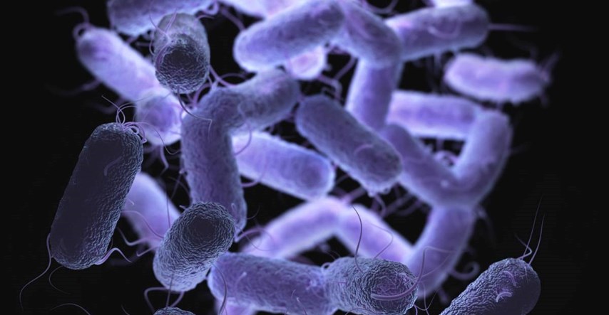 Iznenađujuće otkriće: Bakterije mogu pamtiti i prenositi sjećanja generacijama
