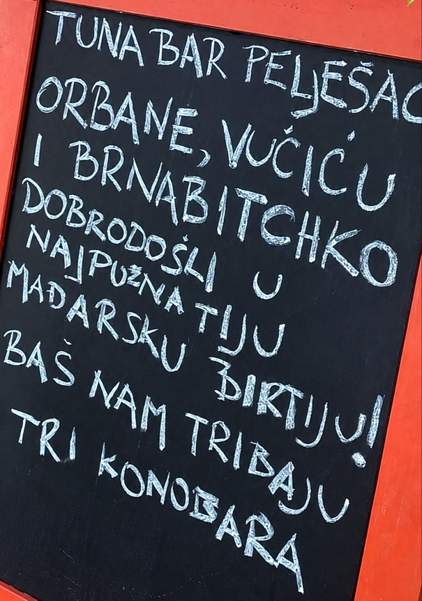 Vlasnik restorana na Pelješcu nudi posao Vučiću, Orbanu i Brnabić: "Nemate izbora"