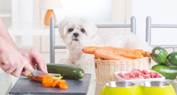 Saznajte koje je povrće sigurno za vašeg psa, a koje mu može naškoditi