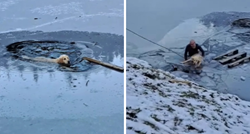 VIDEO Vidjeli psa kako pliva u zaleđenom jezeru u Sloveniji, odmah su skočili u pomoć