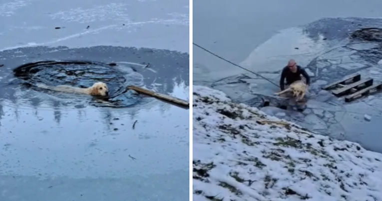 VIDEO Vidjeli psa kako pliva u zaleđenom jezeru u Sloveniji, odmah su skočili u pomoć