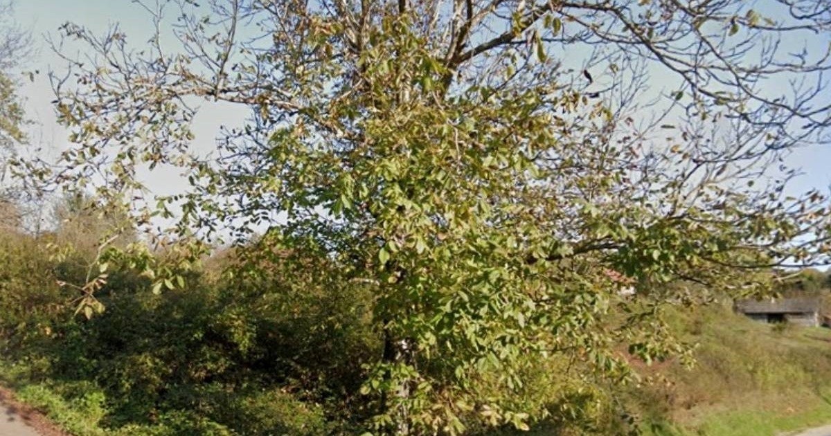 U kući kod Slunja pronađena dva tijela. Doznali smo na što policija sumnja