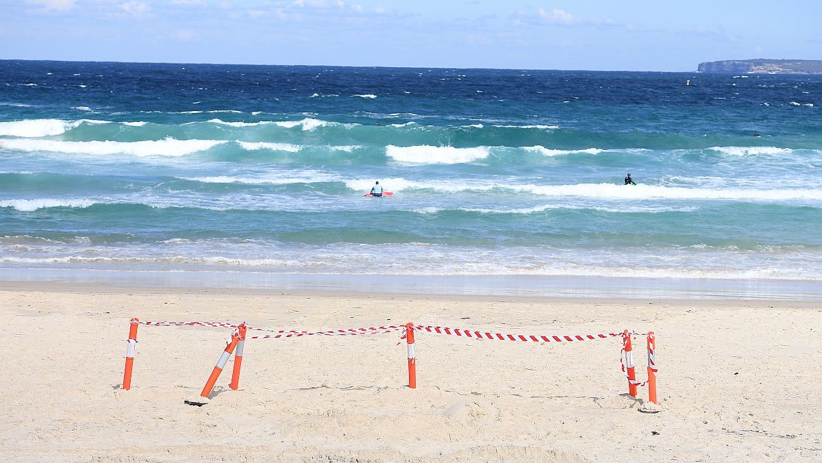 Morski pas napao Australca, surferi ga uspjeli otjerati
