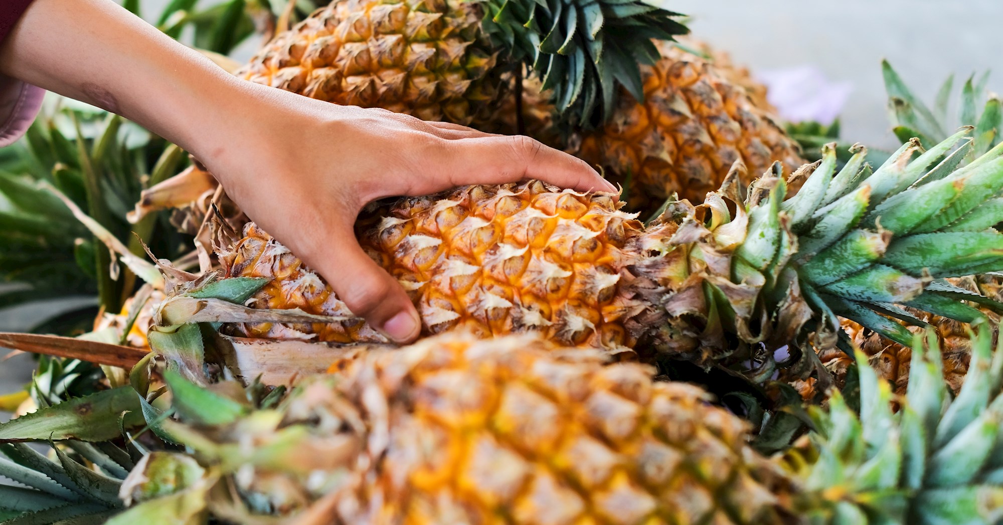 Ananas se nekad iznajmljivao, a zbog bromelaina ostavlja osjećaj peckanja na jeziku