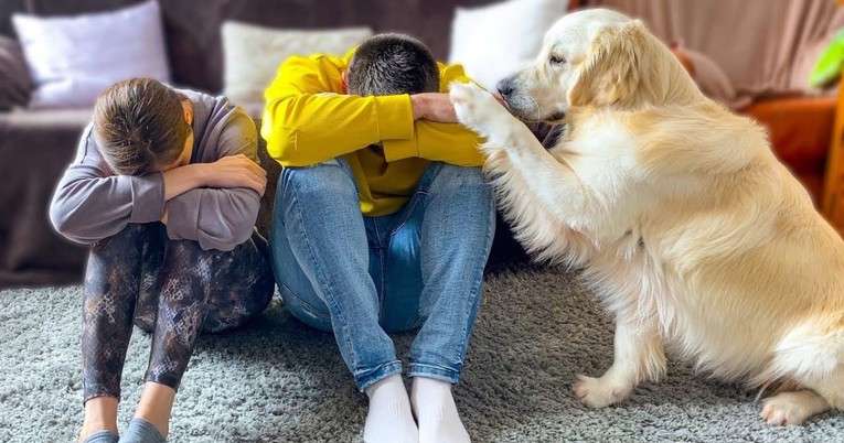 Pravili su se da plaču pred svojim psom, on imao najslađu reakciju