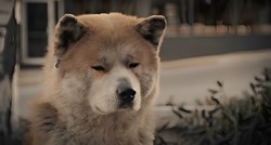 Hachiko, pas koji je 10 godina svaki dan čekao vlasnika, danas bi navršio 100 godina