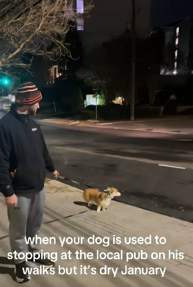 Korgi "prosvjedovao" jer njegovi vlasnici ne žele u pub, ljudi umiru od smijeha 😂