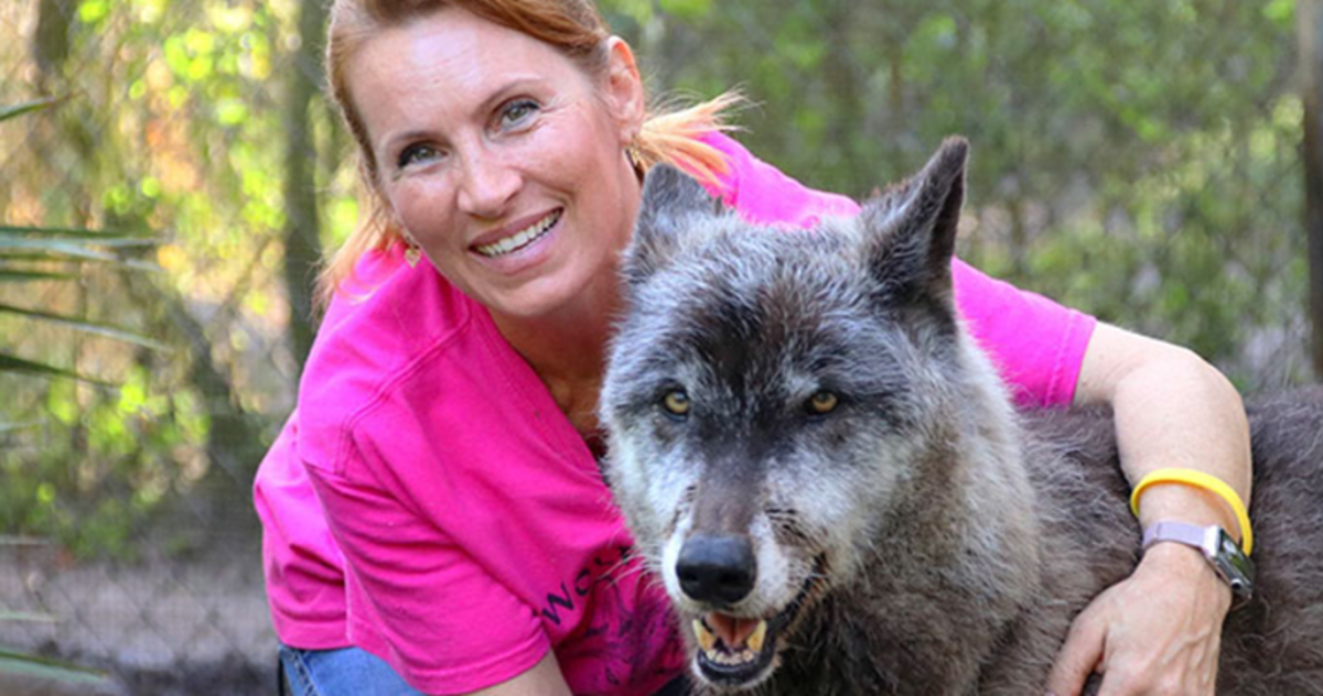 Htjeli su ga uspavati, no ovaj je vukopas danas sretan i voljen