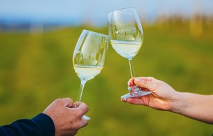 U Međimurju uskoro festival na kojem se može kušati više od 170 vina