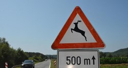 Karlovačka županija: 419 naleta na divljač, skoro 1.8 milijuna kuna štete na vozilima