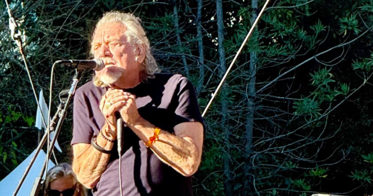 Otišao na besplatan koncert u parku, nije mogao vjerovati tko se pojavio na pozornici