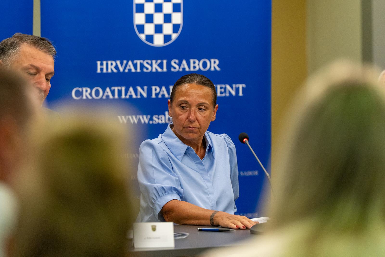 HDZ-ova ministrica o strahu Gospićana od raka: I akohol je jedan od čimbenika rizika