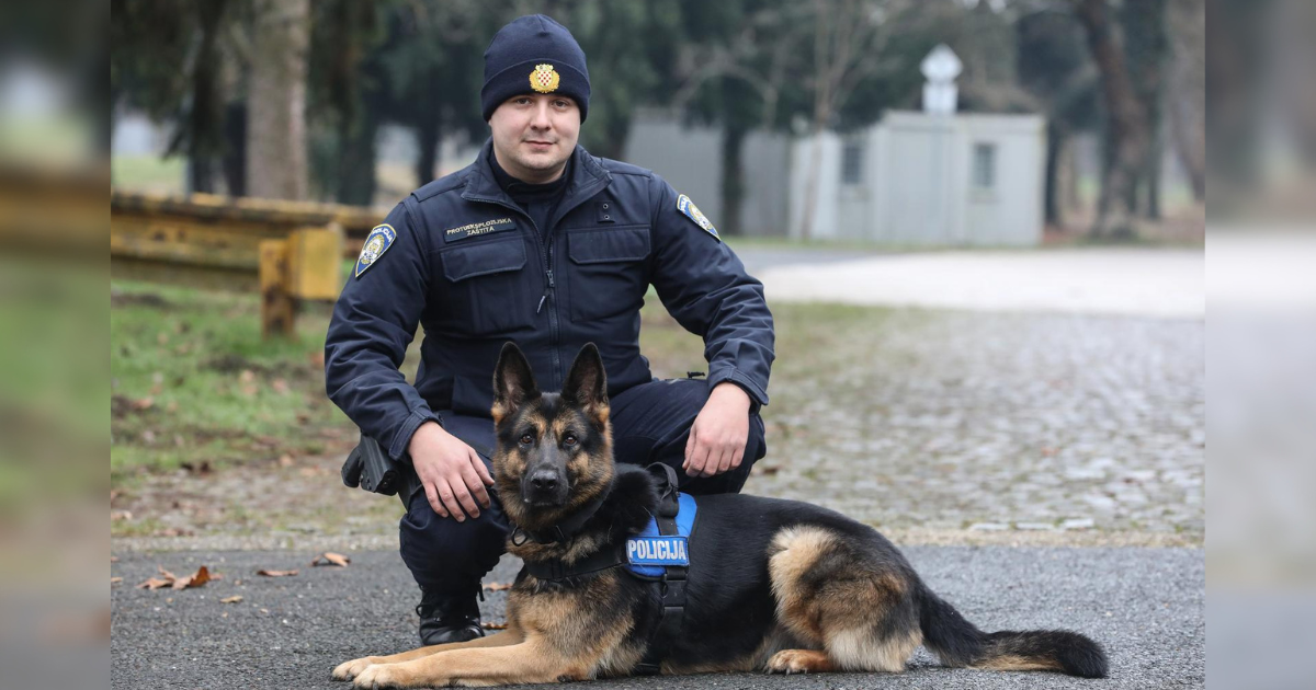 VIDEO Ovako izgleda obuka potražnih pasa na zagrebačkoj Policijskoj akademiji