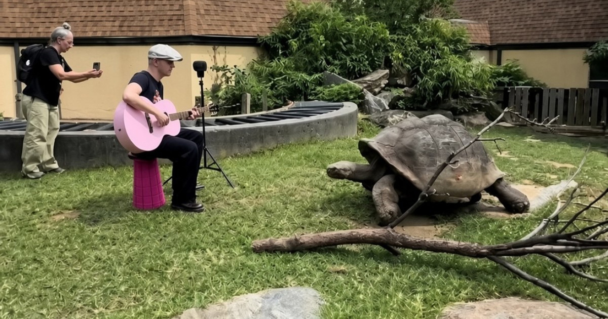 Stogodišnja kornjača dobila privatni koncert, njezina reakcija oduševila ljude