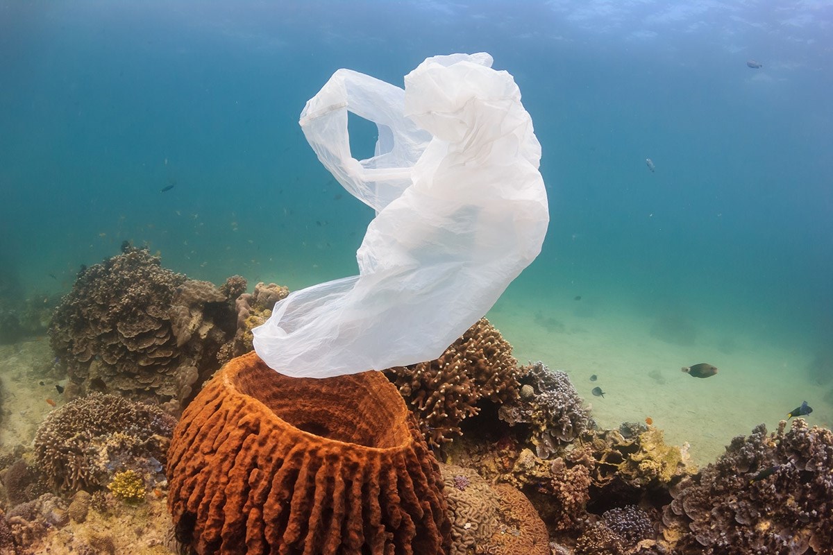 Objavljen mali vodič za putovanja: Evo kako možete putovati bez plastike