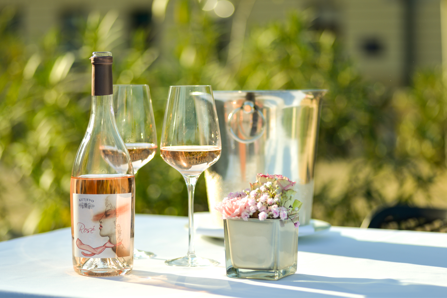 Najtraženiji Rosé ovoga ljeta - Rosé Premium