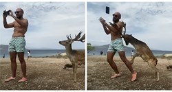 VIDEO Turist pokušao snimiti selfie s jelenom, evo kako je to završilo