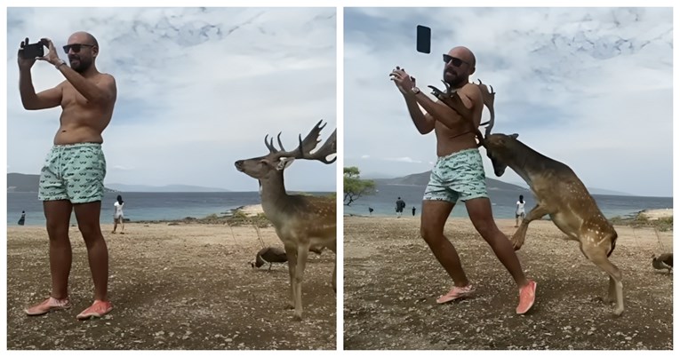 VIDEO Turist pokušao snimiti selfie s jelenom pa završio sa slomljenim rebrima 