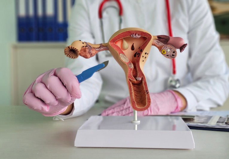 Znanstvenici: Čini se da jajnici razvijaju drugu ulogu nakon menopauze