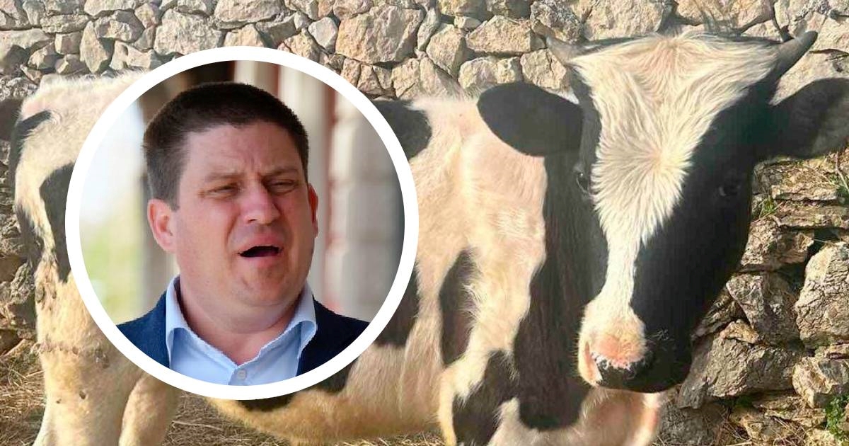 Butković: Dobro jutro, Zorane. Hoćeš li svratiti do nas u Novi? Čekat će te Milova
