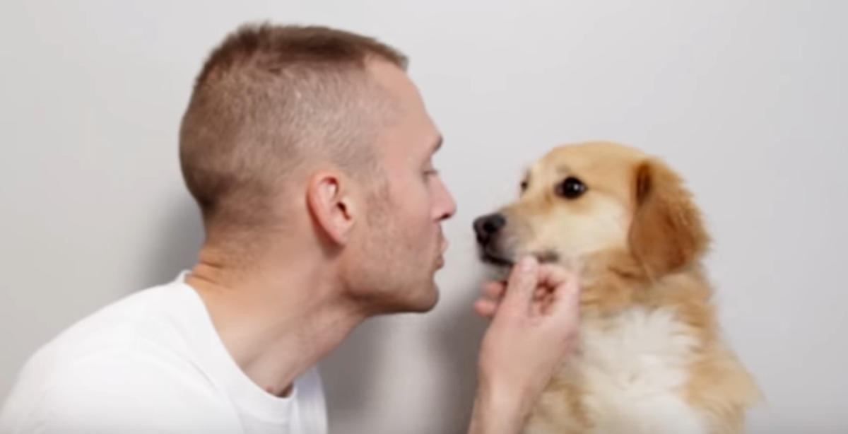 Kada biste svijet doživljavali iz perspektive psa, to bi izgledalo ovako