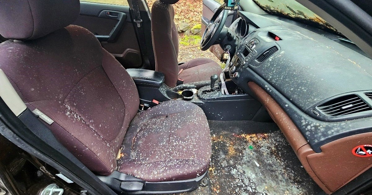 VIDEO Pogledajte kako je očistio kabinu automobila