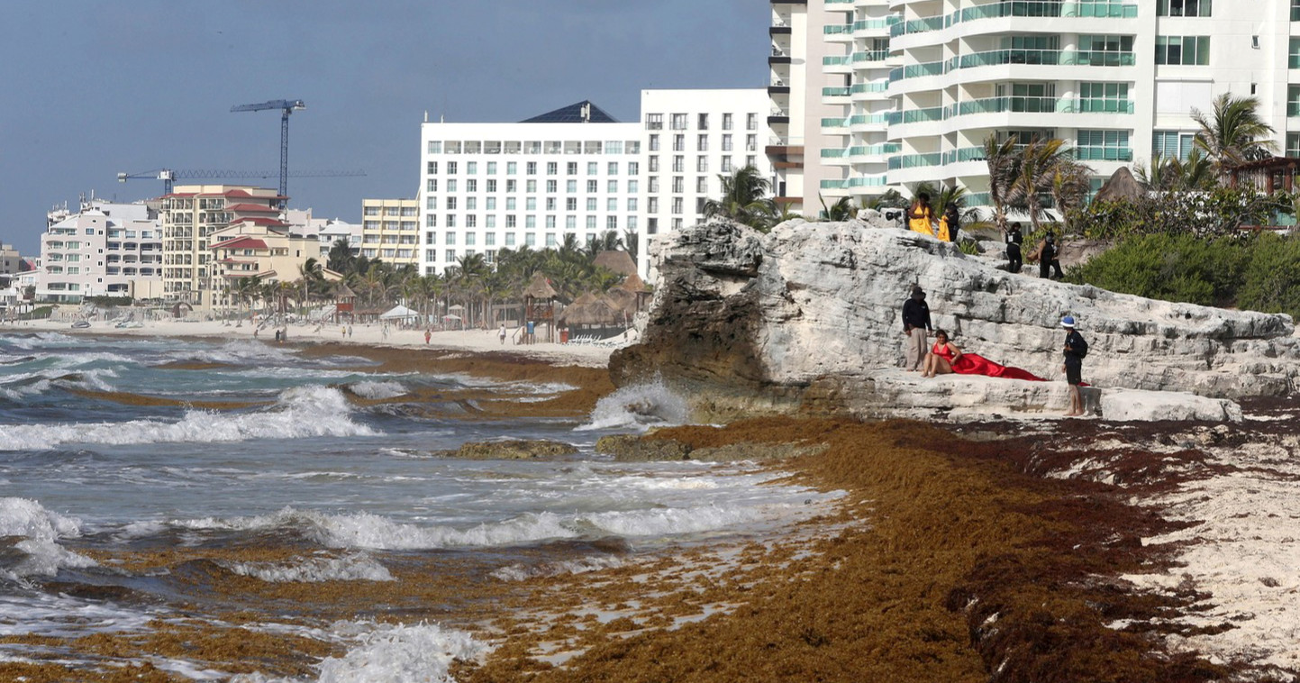 Znanstvenici upozoravaju: Rast morskih algi prijeti svjetskim oceanima