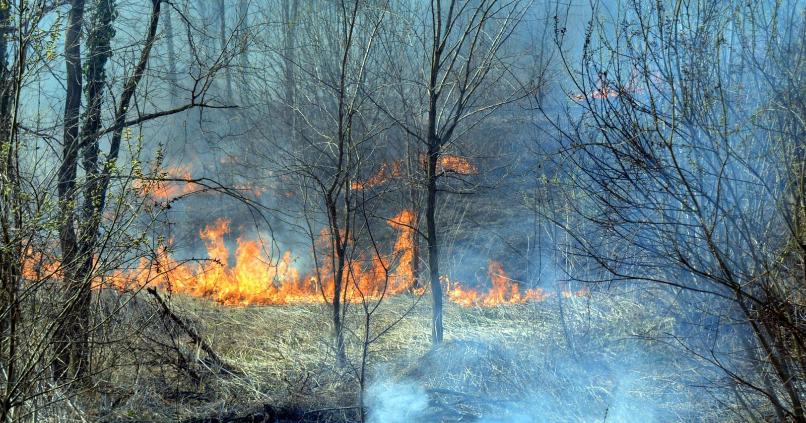 Oprezno s paljenjem vatre na otvorenom. Kazne su ogromne