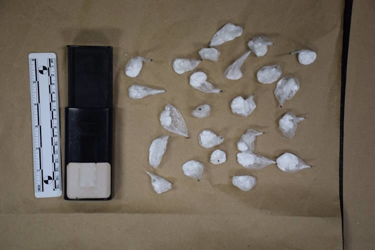 Diler u Zagrebu policiji predao 24 paketića kokaina