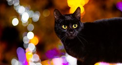 I nju zanima adventska ponuda: Crna maca prošetala Božićnim selom kod Splita