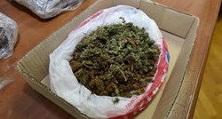 Policija prijavila muškarca s Trešnjevke, u stanu uzgajao marihuanu