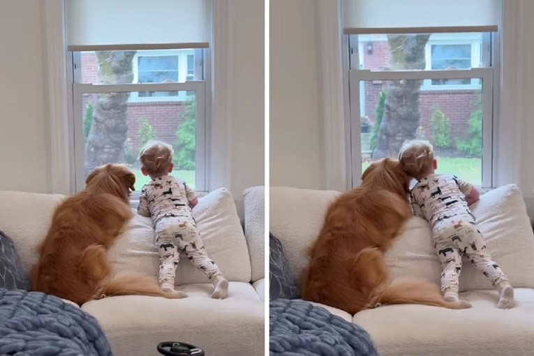 Prizor koji topi srca: Pas i dječak zajedno promatraju kišu