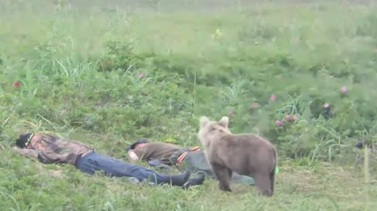 Medvjed prišao pospanim radnicima i jednog probudio, reakcije su neprocjenjive