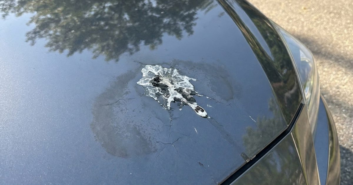 Sklanjate auto od sunca pod drvo? Budite svjesni moguće štete