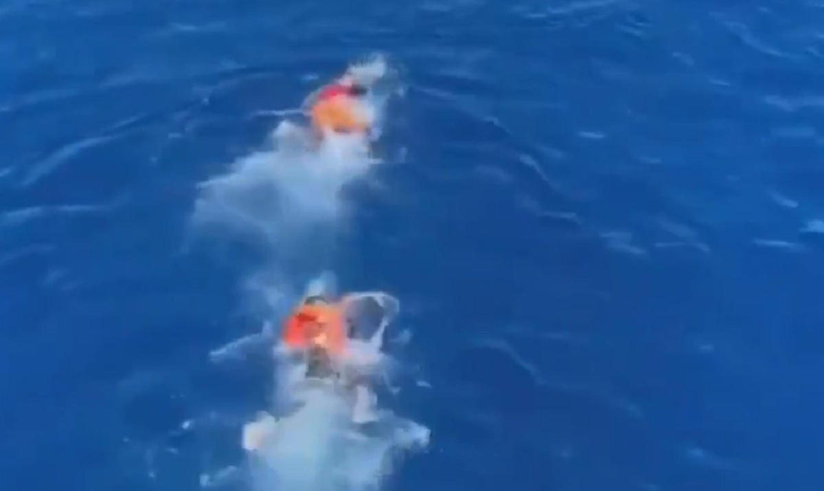 Migrantima je dosta čekanja na brodu, skočili u more i zaplivali prema Italiji