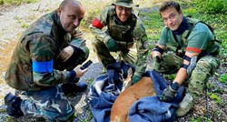 Članovi zagrebačkog airsoft tima pronašli srnjaka u šahtu te pomogli u spašavanju