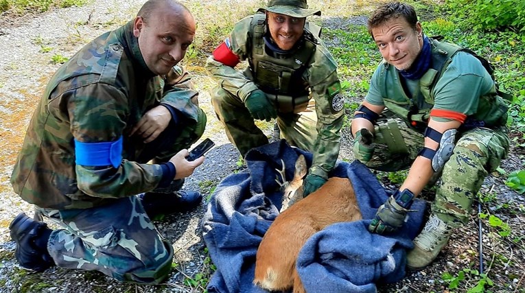 Članovi zagrebačkog airsoft tima pronašli srnjaka u šahtu te pomogli u spašavanju