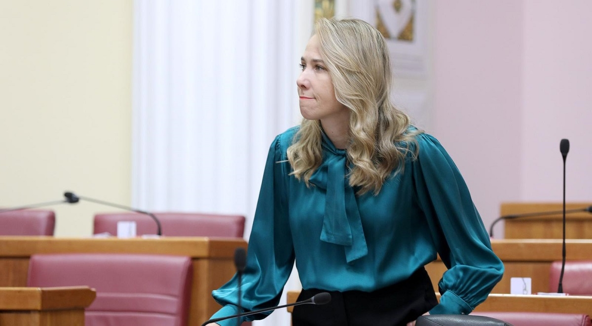 Selak Raspudić: Mi uporno predlažemo, vi uporno odbijate