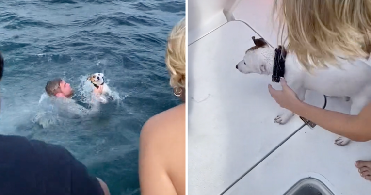 Pas pronađen kako pliva nasred oceana, pogledajte dramatičnu snimku spašavanja