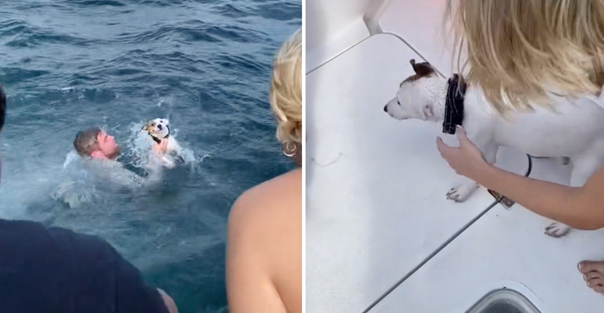 Pas pronađen kako pliva nasred oceana, pogledajte dramatičnu snimku spašavanja
