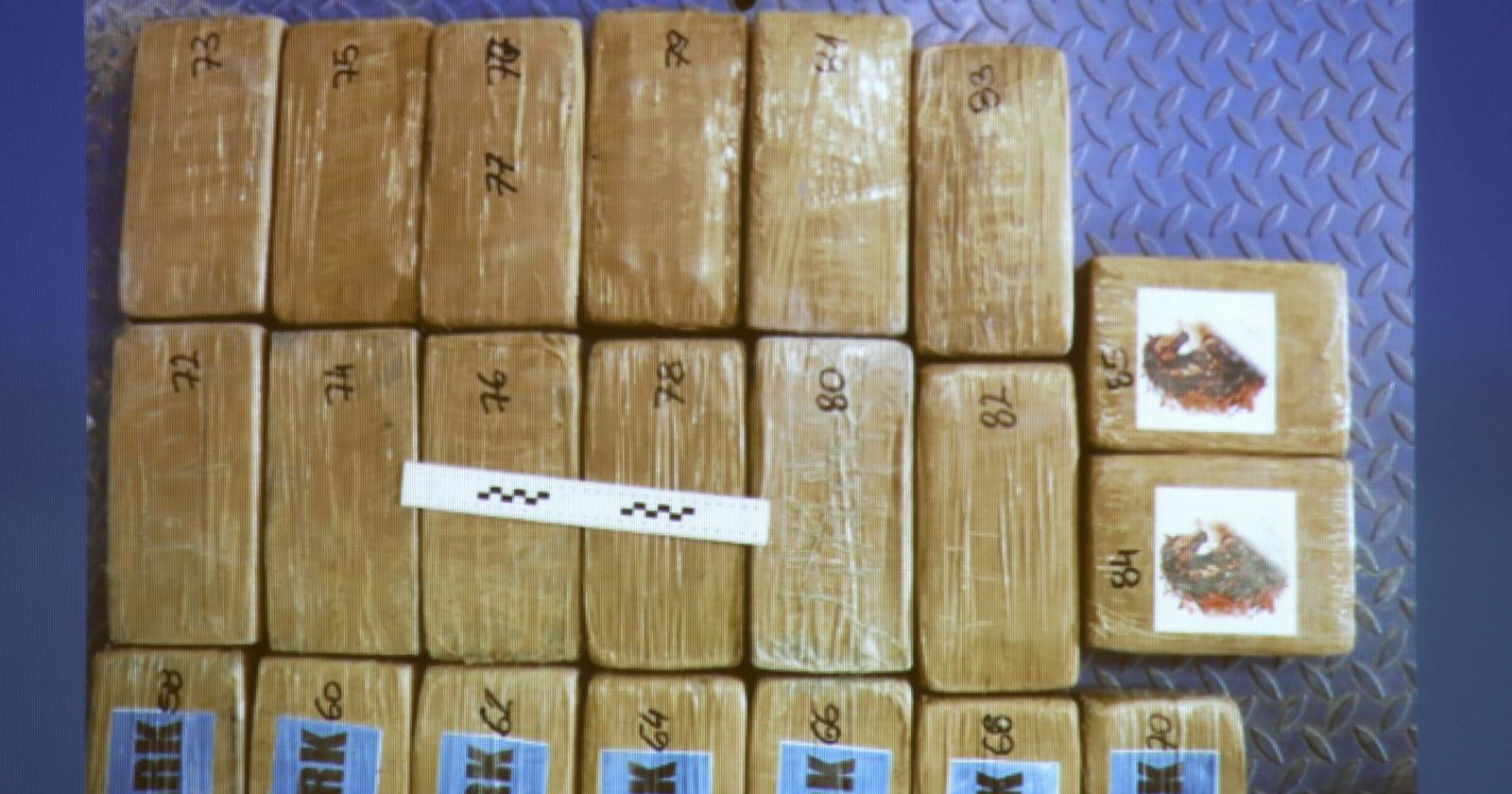 Akcija Uskoka: Vozači kamiona kokain skrivali pod nektarinama i vozili ga po EU