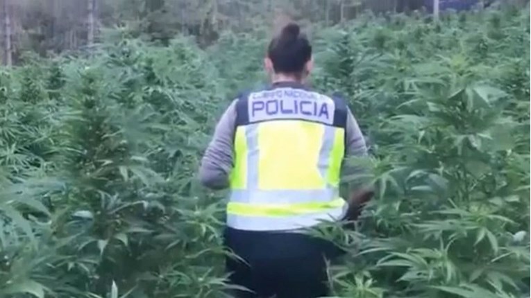 Španjolska policija pratila Albance koji kradu cigarete, otkrila tone marihuane