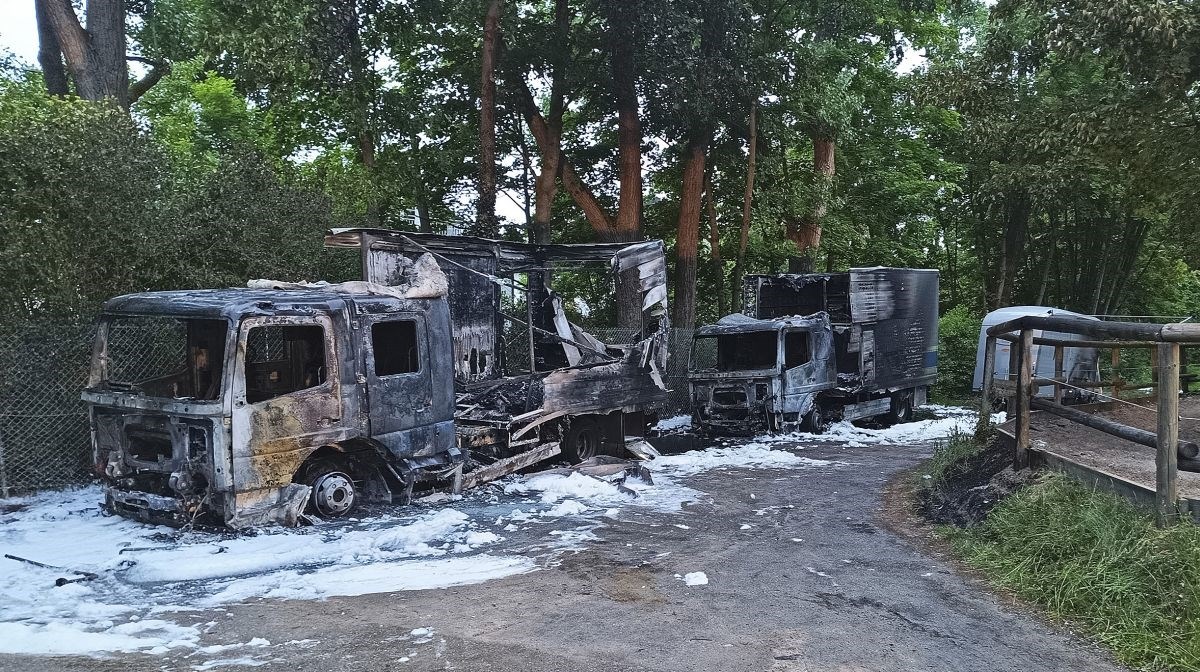 FOTO Napad na policijsku konjicu u Münchenu, sumnja se na ekstremne ljevičare