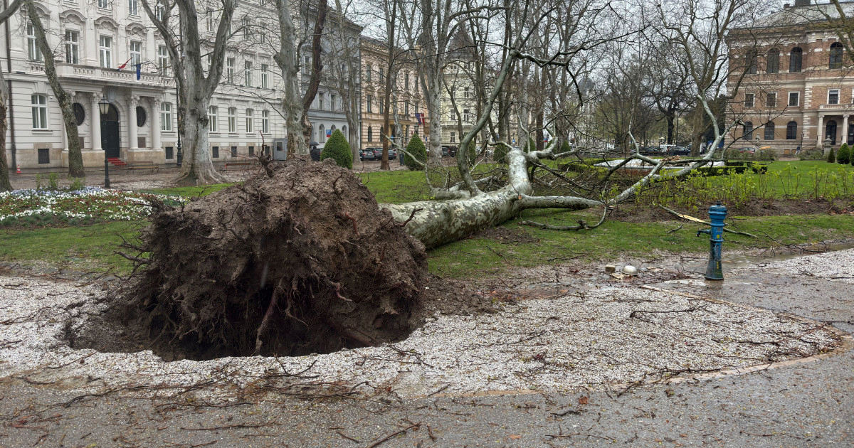 VIDEO I FOTO Palo veliko drvo na Zrinjevcu