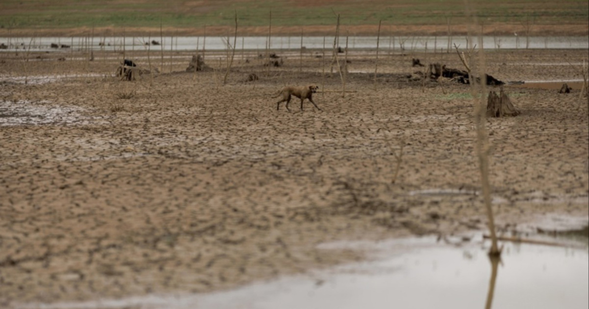 UN upozorava: Ekstremne vrućine prijete egzistenciji milijarde ljudi